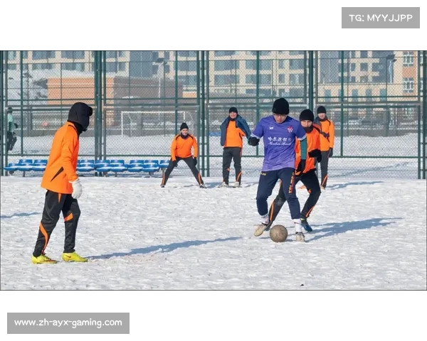 俄罗斯足球超级联赛:激情碰撞与文化传承的独特魅力与发展潜力 俄罗斯足球超级联赛:激情碰撞与文化传承的独特魅力与发展潜力